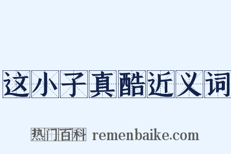 这小子真酷近义词是什么意思的图片
